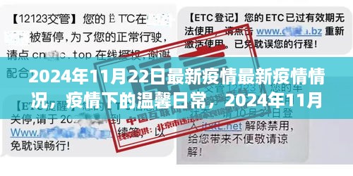 2024年11月22日最新疫情最新疫情情况，疫情下的温馨日常，2024年11月22日的阳光故事