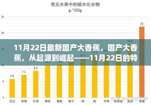 11月22日最新国产大香蕉，国产大香蕉，从起源到崛起——11月22日的特别回顾