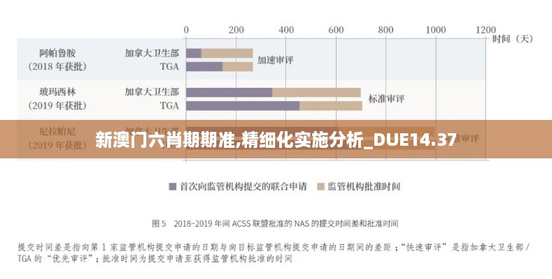 新澳门六肖期期准,精细化实施分析_DUE14.37