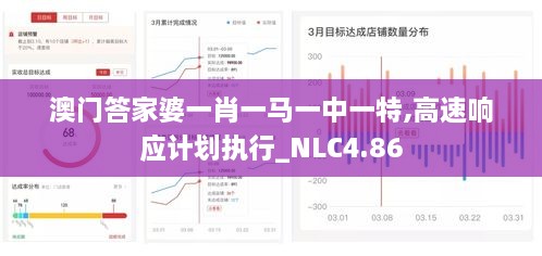 澳门答家婆一肖一马一中一特,高速响应计划执行_NLC4.86