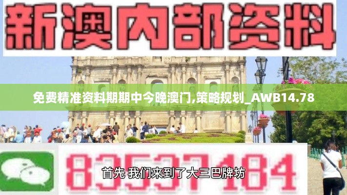 免费精准资料期期中今晚澳门,策略规划_AWB14.78