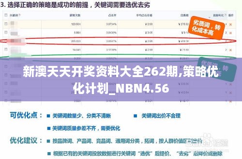 新澳天天开奖资料大全262期,策略优化计划_NBN4.56