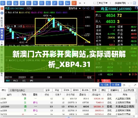 新澳门六开彩开奖网站,实际调研解析_XBP4.31