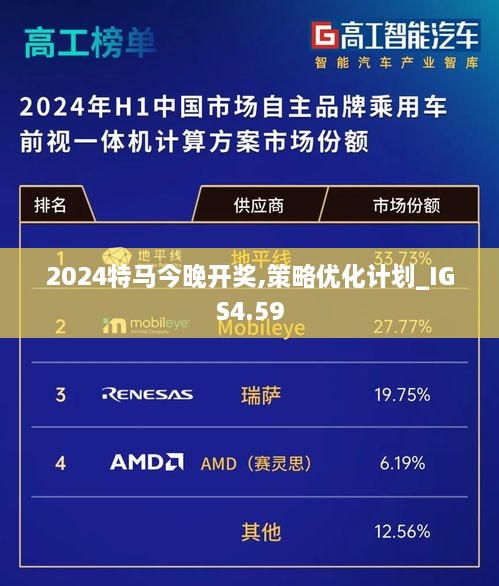 2024特马今晚开奖,策略优化计划_IGS4.59