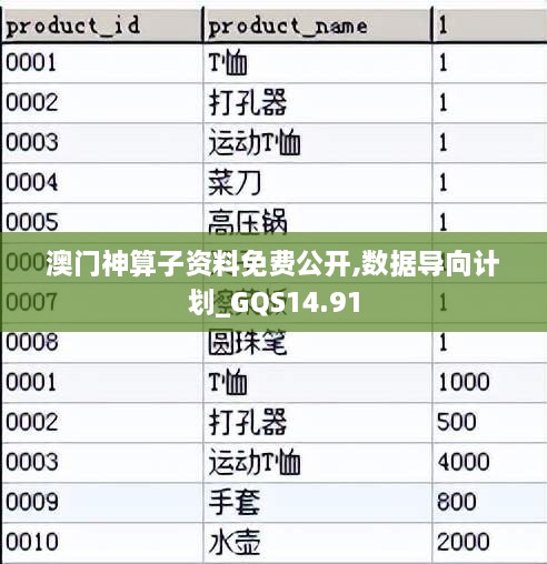 澳门神算子资料免费公开,数据导向计划_GQS14.91