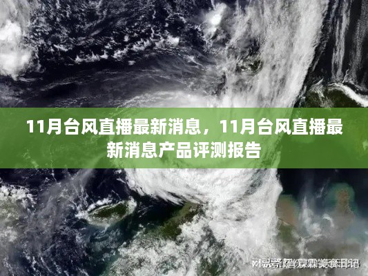 11月台风直播最新消息，11月台风直播最新消息产品评测报告