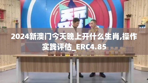 2024新澳门今天晚上开什么生肖,操作实践评估_ERC4.85