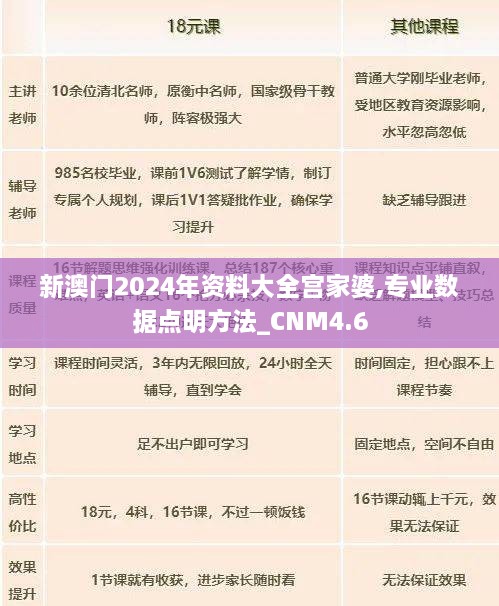 新澳门2024年资料大全宫家婆,专业数据点明方法_CNM4.6