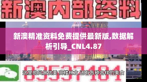 新澳精准资料免费提供最新版,数据解析引导_CNL4.87