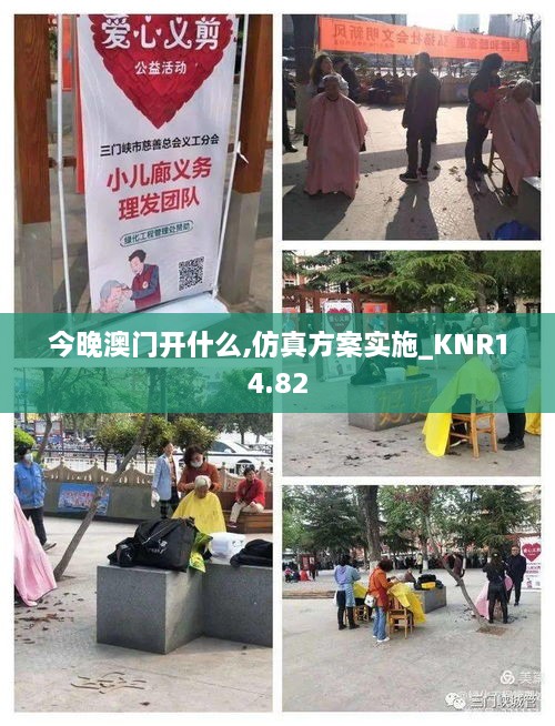 今晚澳门开什么,仿真方案实施_KNR14.82