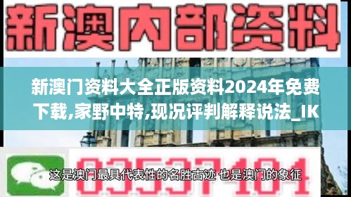 新澳门资料大全正版资料2024年免费下载,家野中特,现况评判解释说法_IKD4.44