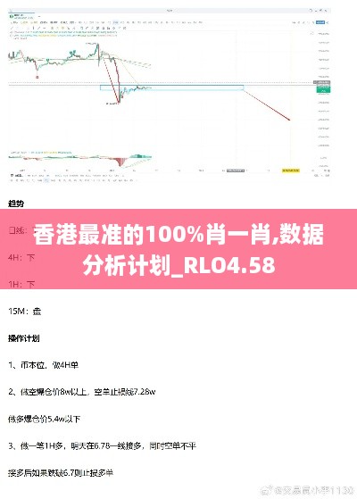 香港最准的100%肖一肖,数据分析计划_RLO4.58