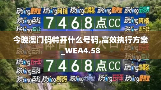 今晚澳门码特开什么号码,高效执行方案_WEA4.58