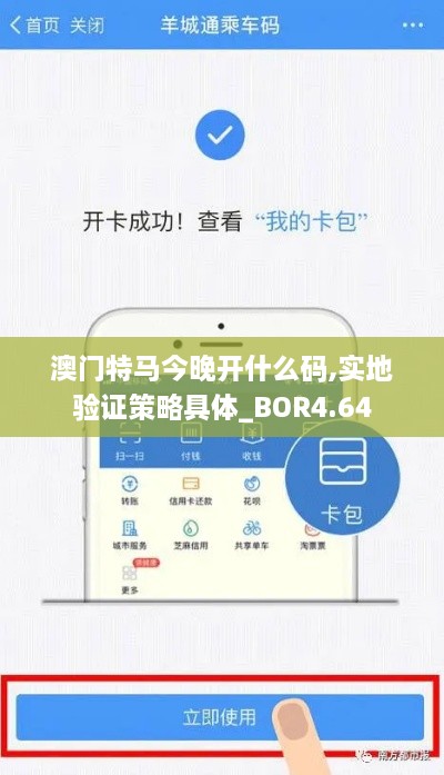 澳门特马今晚开什么码,实地验证策略具体_BOR4.64