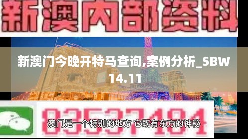 新澳门今晚开特马查询,案例分析_SBW14.11