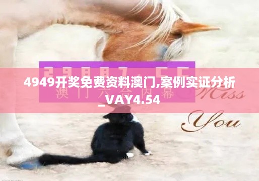 4949开奖免费资料澳门,案例实证分析_VAY4.54