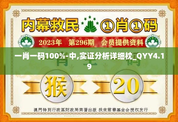 一肖一码100%-中,实证分析详细枕_QYY4.19