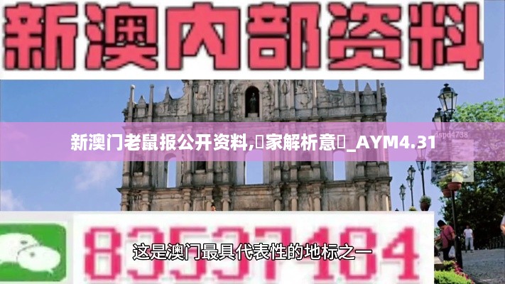 新澳门老鼠报公开资料,專家解析意見_AYM4.31