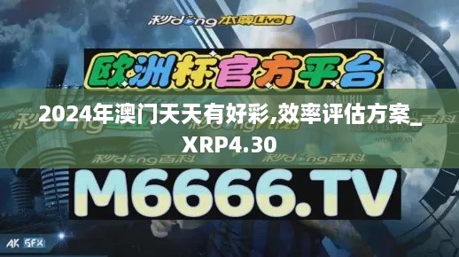 2024年澳门天天有好彩,效率评估方案_XRP4.30