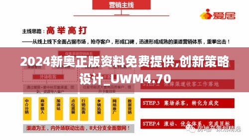 2024新奥正版资料免费提供,创新策略设计_UWM4.70