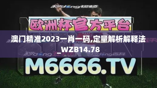 澳门精准2023一肖一码,定量解析解释法_WZB14.78