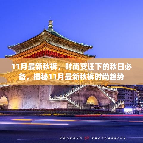 揭秘时尚变迁下的秋日必备，最新秋裤时尚趋势解析