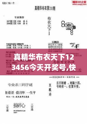 真精华布衣天下123456今天开奖号,快速问题处理_BQD14.93