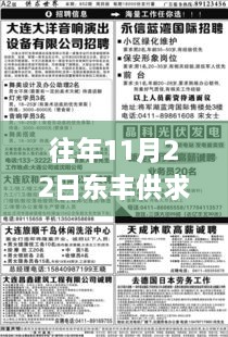 往年11月22日东丰供求世界最新招聘，职场趋势与个人选择概览