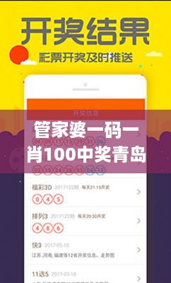 管家婆一码一肖100中奖青岛,策略规划_VLQ4.99