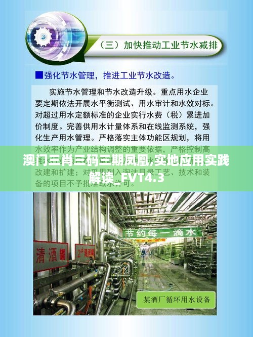 澳门三肖三码三期凤凰,实地应用实践解读_FVT4.3