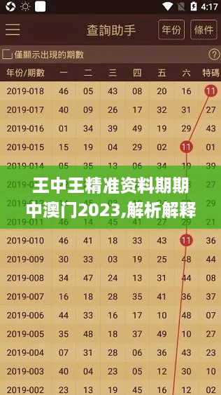 王中王精准资料期期中澳门2023,解析解释说法_NCC14.70