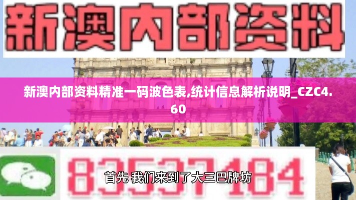 新澳内部资料精准一码波色表,统计信息解析说明_CZC4.60