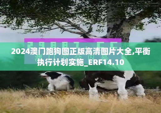 2024澳门跑狗图正版高清图片大全,平衡执行计划实施_ERF14.10