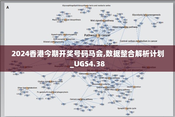 2024香港今期开奖号码马会,数据整合解析计划_UGS4.38