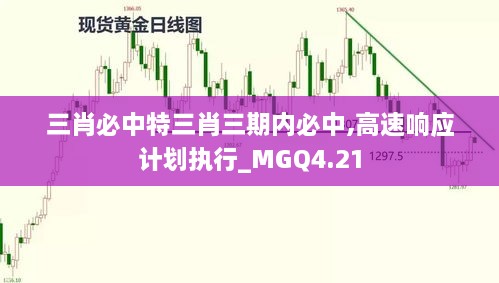 三肖必中特三肖三期内必中,高速响应计划执行_MGQ4.21