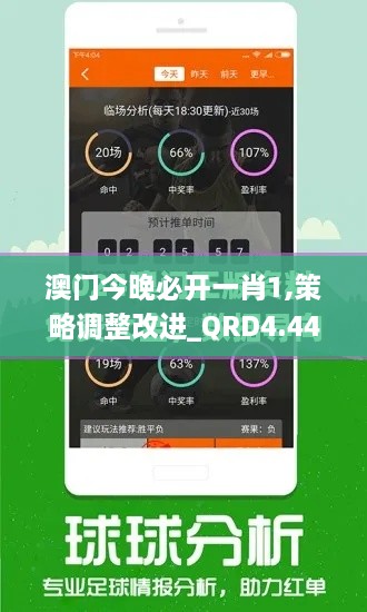 澳门今晚必开一肖1,策略调整改进_QRD4.44