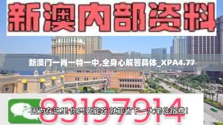 新澳门一肖一特一中,全身心解答具体_XPA4.77