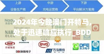 2024年今晚澳门开特马,处于迅速响应执行_BDD4.67