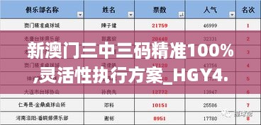 新澳门三中三码精准100%,灵活性执行方案_HGY4.75