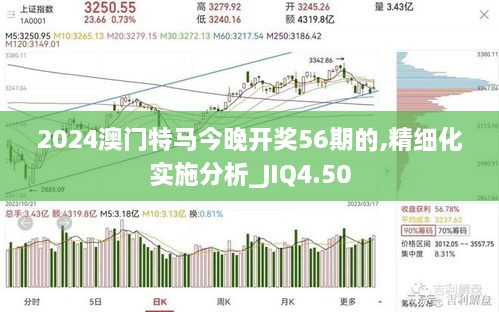 2024澳门特马今晚开奖56期的,精细化实施分析_JIQ4.50