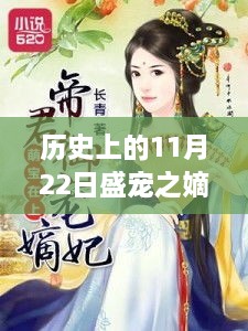 嫡妻归来盛宠之最新章节回顾，历史上的11月22日揭秘