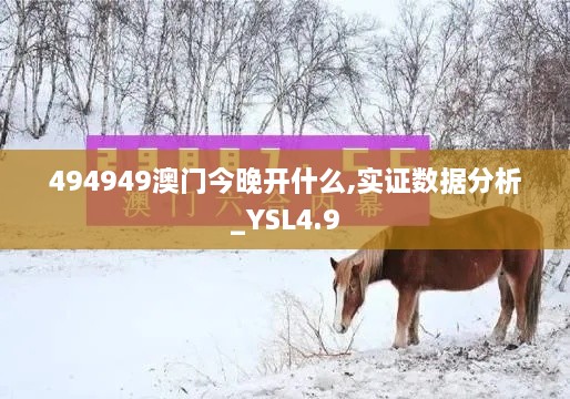 494949澳门今晚开什么,实证数据分析_YSL4.9