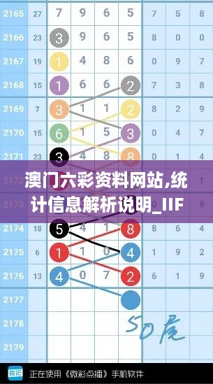 澳门六彩资料网站,统计信息解析说明_IIF4.72