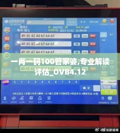 一肖一码100管家婆,专业解读评估_OVB4.12