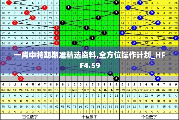 一肖中特期期准精选资料,全方位操作计划_HFF4.59