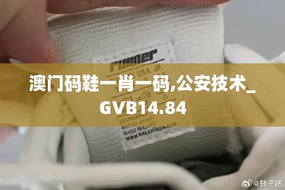 澳门码鞋一肖一码,公安技术_GVB14.84