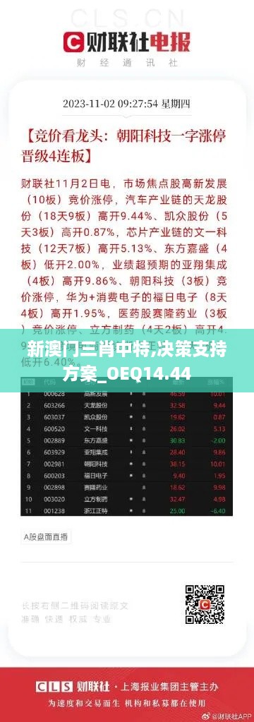 新澳门三肖中特,决策支持方案_OEQ14.44