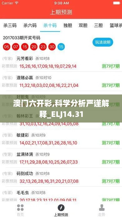澳门六开彩,科学分析严谨解释_ELJ14.31