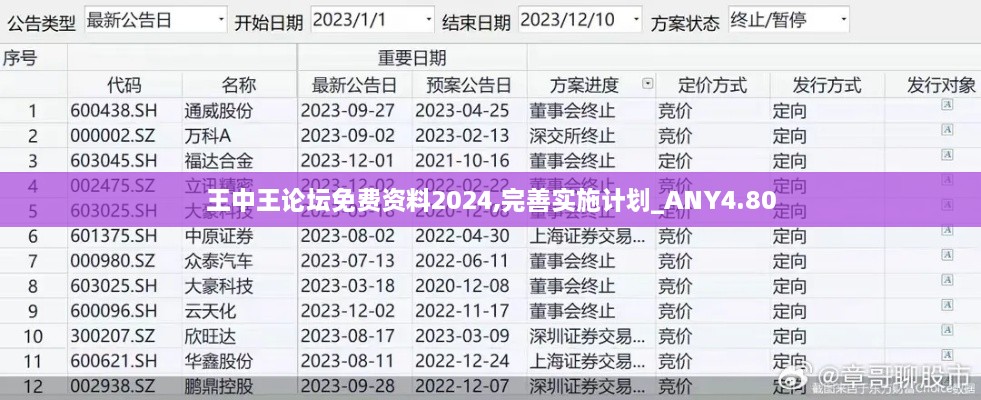 王中王论坛免费资料2024,完善实施计划_ANY4.80