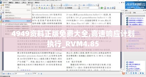 4949资料正版免费大全,高速响应计划执行_RVM4.85